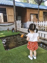 -上美四季动物农场