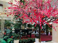 -曲江惠宾苑宾馆(大雁塔大唐不夜城店)