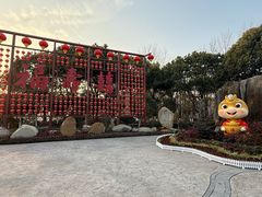 -合肥滨湖国家森林公园