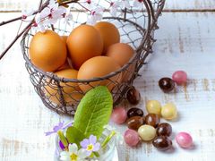 -Saint Laurent(海怡工贸店)