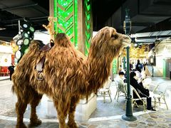 -上海龙之梦万丽酒店