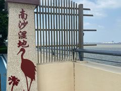 -大湾区中央湿地公园