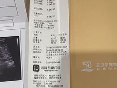 -艾贝尔宠物医院·24H转诊中心·肿瘤猫专科(江宁双龙店)