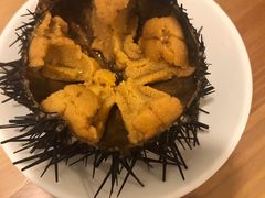 -海胆小馆(东北水饺·春柳店)