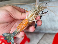 -光头佬室内钓虾场·烧烤·团建·亲子(中山八路店)