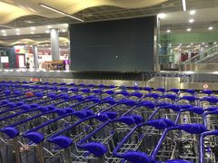 -西沃古尔·拉姆古兰爵士国际机场