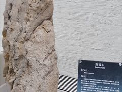 -中华赏石园