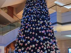 -上海新发展亚太JW万豪酒店