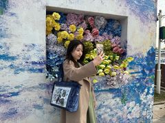-荷兰花海