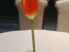 -眉州东坡(印象城购物中心店)