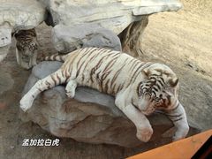 -北京野生动物园