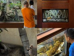 -帕帕拉兹宠物(亚洲旗舰店)