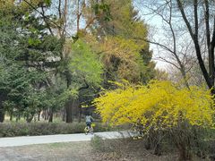 -长春市南湖公园