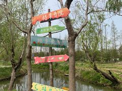 -上海长兴岛郊野公园