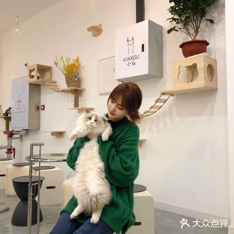 长春宠物王国|回吐口水的🦙