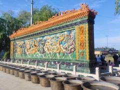-荷花大观园