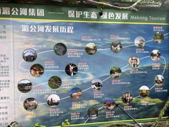 -西双版纳原始森林公园