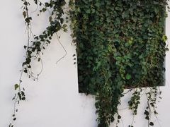 -三林塘老街