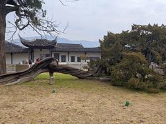 -司徒庙