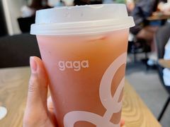 莲雾油柑茶-gaga(深圳南山益田假日广场店)