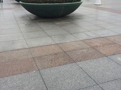 -番禺广场(市桥街道)