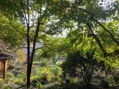 -泗洪洪泽湖湿地景区