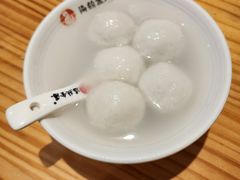 -海丝金凤(金鱼店)
