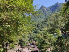 -花岩国家森林公园