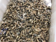 炒花蛤-老虎滩大连海鲜烧烤(建邺云锦路总店)