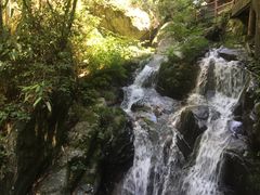 -藏龙百瀑风景区