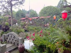 -青城甲(青城山店)