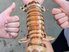 -卡帕莱度假村(西巴丹岛)