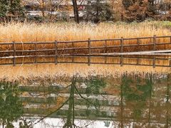 -成都市活水公园