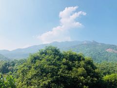 -清水湖度假村(罗浮山美食地标店)