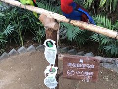 -南宫五洲植物乐园