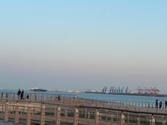 -东疆建设开发纪念公园