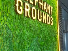 门面-大象园ELEPHANT GROUNDS(万象天地店)