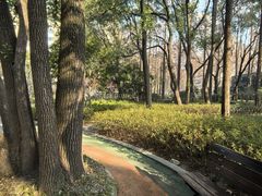 -徐家汇源景区-衡山公园