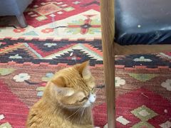 -Fun Job Art 零基础油画国画DIY画室(望京店)