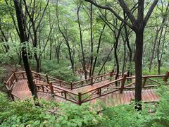 -大岭沟猕猴桃谷风景区