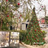 想不到武汉居然也有这么浪漫的地方～圣诞氛围也太美了吧～