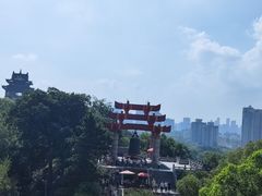 -黄鹤楼公园(黄鹤楼)