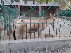 -保定市动物园