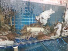 -蟹谢蒸鲜自助餐厅