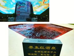 养生红酒泉-五大龙池温泉宝石浴(繁荣店)