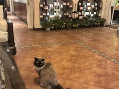 -域SPA·足疗·按摩·养生(静安寺店)