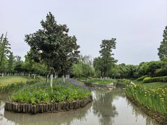 -皇粮浜公园