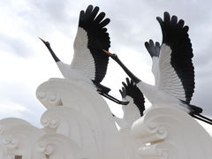 -郭莽湿地