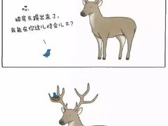 -睿灵心理咨询(瑞金医院店)