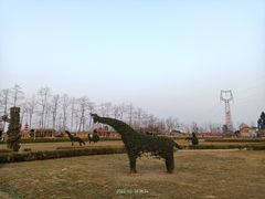 -夏河溪乡野公园